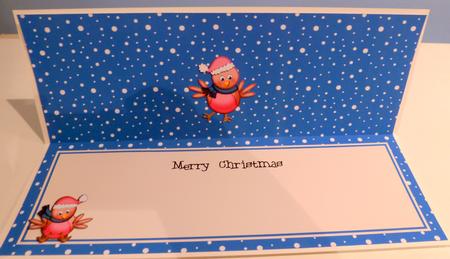 Large Dl Christmas Insert with Robins by Christine Simmonds