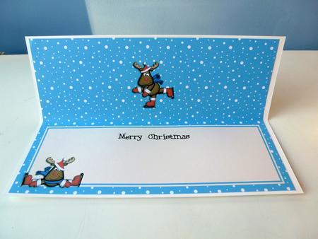 Large Dl Christmas Insert with Rudolph by Christine Simmonds