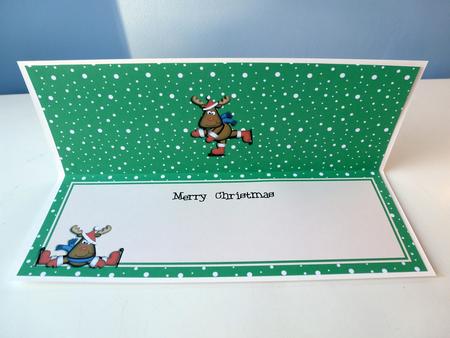 Large Dl Christmas Insert with Rudolph by Christine Simmonds