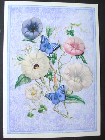 Good Morning Glory by Christine Sutton
