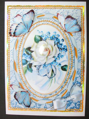White Rose Butterfly A4 Picture Sheet by Christine Sutton