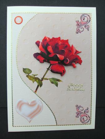 Beautiful Single Red Rose by Christine Sutton