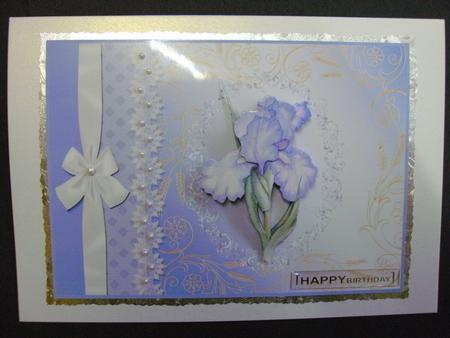 Iris Splendour by Christine Sutton