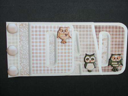 Another Year Older Wise Owl Word Book by Christine Sutton