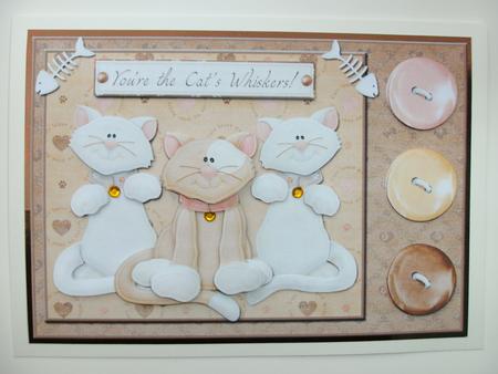 Cats and Buttons You're the Cats Whiskers Card Front Featured Gallery Photo