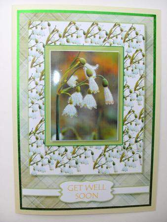 Snowdrops by Christine Sutton