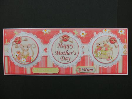Mother's Day,birthday or Thank You Dl Card Front by Christine Sutton