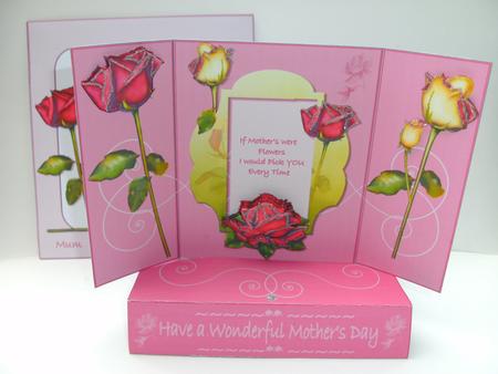 Pop Up Gate Fold Kit - I Picked a Winner by Christine Sutton