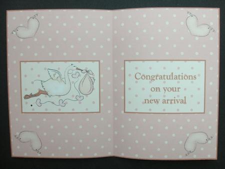 New Baby & Stork Insert by Christine Sutton