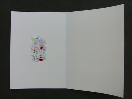 Orchids and Butterflies Insert by Christine Sutton