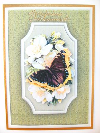 Butterfly & Flowers Quick Card by Christine Sutton