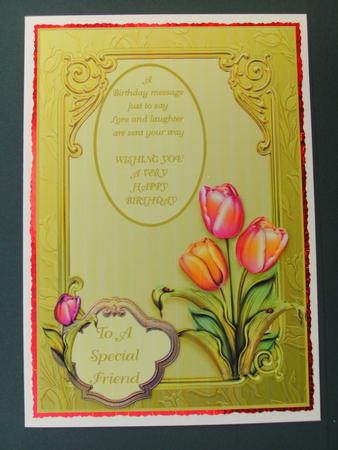 Framed Tulips by Christine Sutton