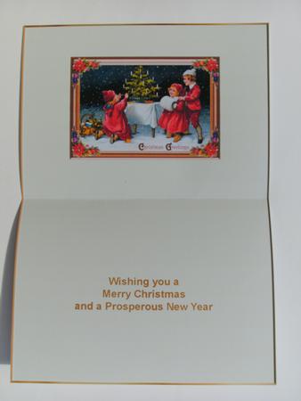 Christmas Greetings Insert by Christine Sutton
