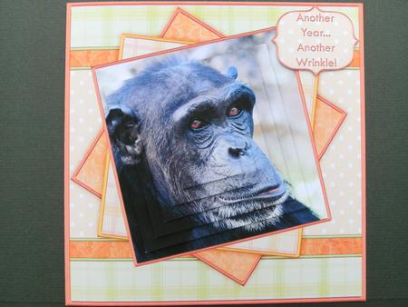 Another Year -  Another Wrinkle! Pyramid Decoupage by Christine Sutton