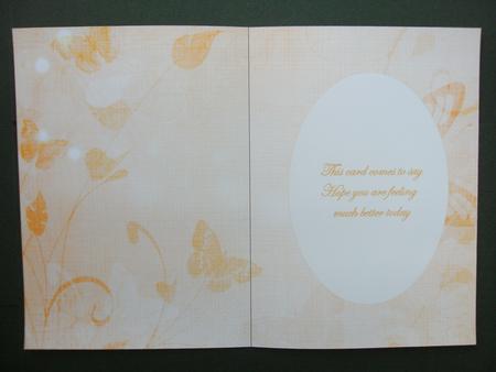 Peach Floral Butterfly Get Well Insert by Christine Sutton