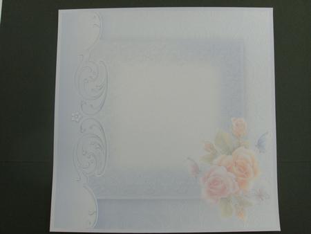 Illuminated Roses and Butterflies 8x8 Insert by Christine Sutton