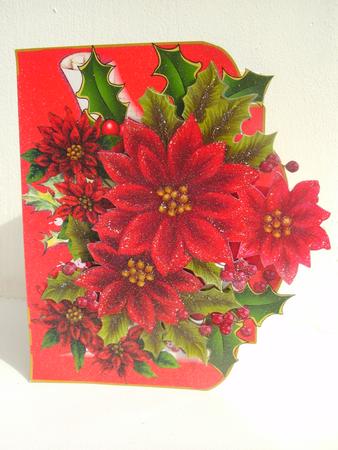 Over the The Edge Poinsettia and Holly by Christine Sutton
