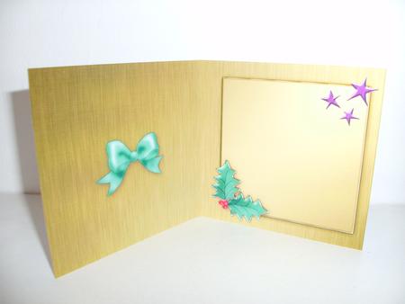 Elegant Christmas Greeting Matching Insert Square Portrait by Christine Sutton