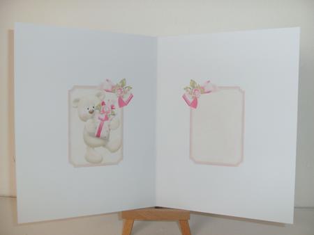 Teddy Has a Gift for You Insert by Christine Sutton