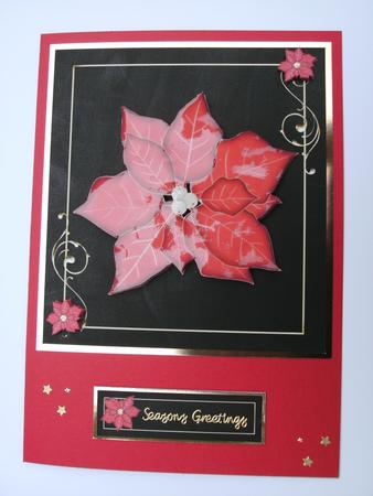 Xmas Poinsettias by Christine Sutton