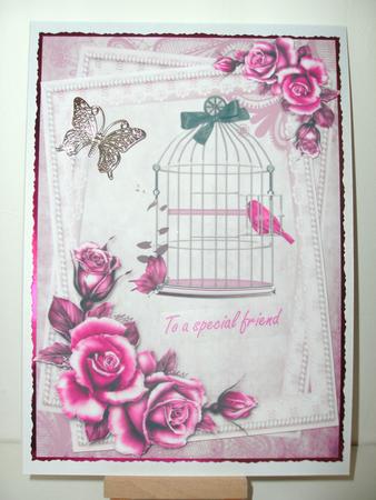 Birdcage and Roses in Pink by Christine Sutton