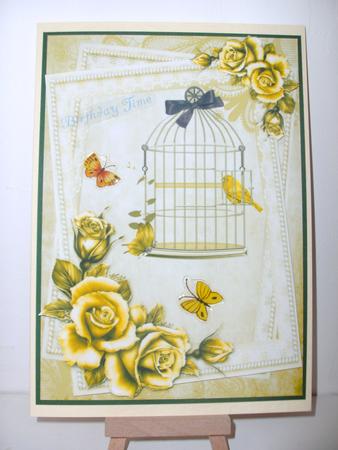 Birdcage and Roses in Lemon by Christine Sutton