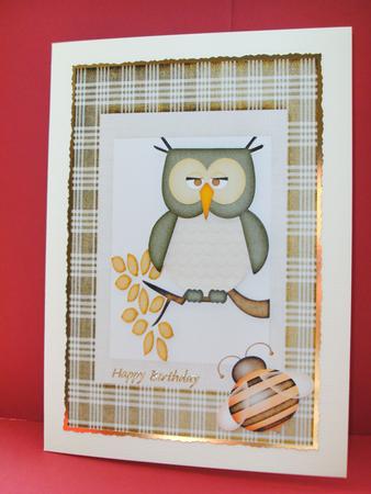 Wise Old Owl by Christine Sutton