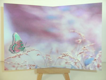 Butterfly Kiss by Christine Sutton