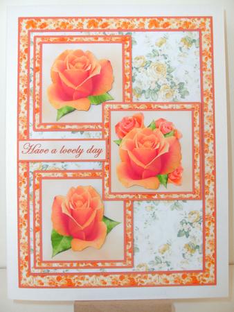 Three Squares - Peach Roses by Christine Sutton