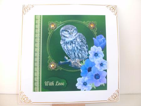 Owl Portrait with Blue Flower Decoupage by Christine Sutton