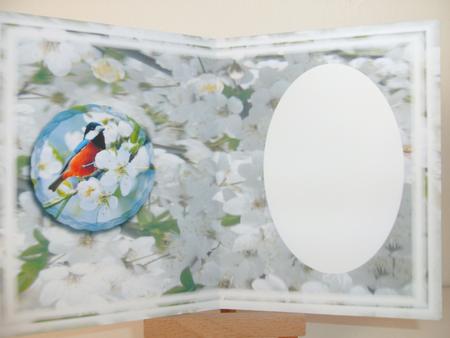 Spring Time Insert by Christine Sutton