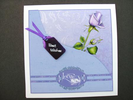 Violet Rose Love/anniversary Card by Christine Sutton