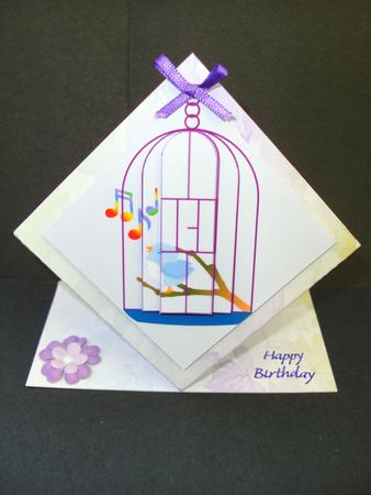 Birdcage by Christine Sutton