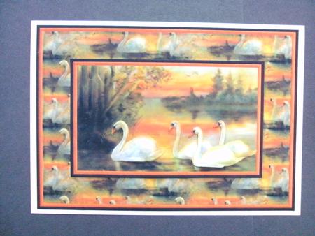 Swans Card Front by Christine Sutton