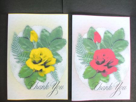 1xyellow 1xred Rose Thank You Notelets by Christine Sutton