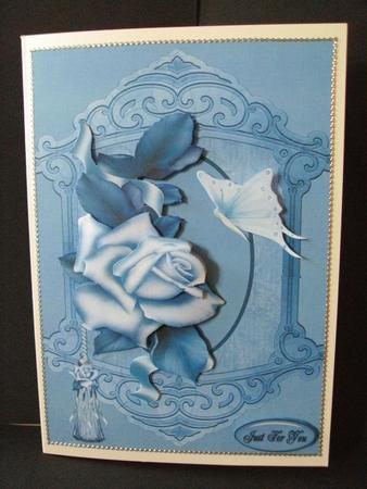 Winter Rose by Christine Sutton