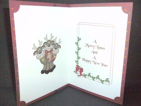 Xmas Insert 16 by Christine Sutton
