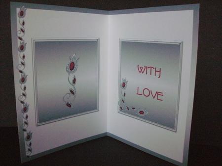 Red Gem Insert by Christine Sutton