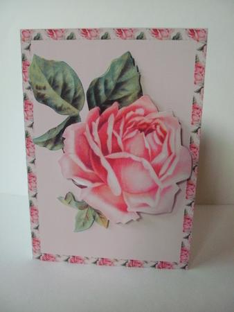Coral Rose Internal Window Card Kit by Christine Sutton