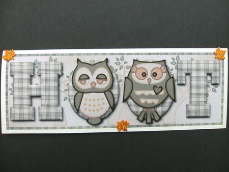 Owls Hoot Large Dl Card Front with Decoupage by Christine Sutton