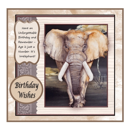 MALE ELEPHANT Age is Just a Number 8x8 Birthday Decoupage Mini Kit by Christine Todd