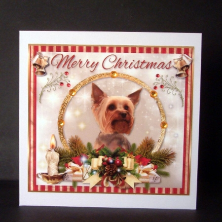 Merry Christmas Yorkshire Terrier  by Christine Todd