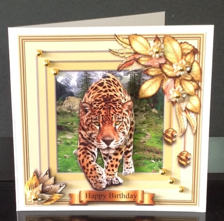 Animals Stepping Out - Leopard by Christine Todd