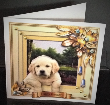 Animals Stepping Out - Puppy by Christine Todd
