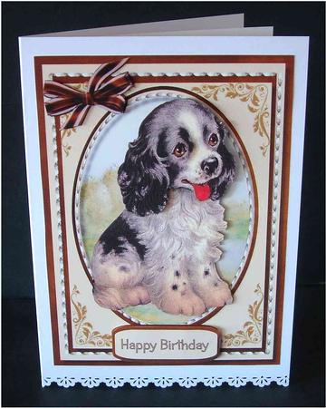 Beautiful Spaniel Pup by Christine Todd