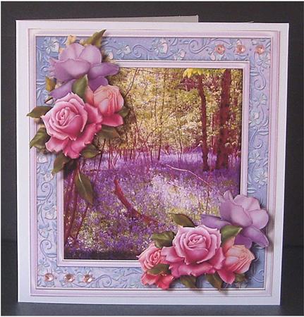 Lovely Bluebell Woods and Belleep Roses by Christine Todd