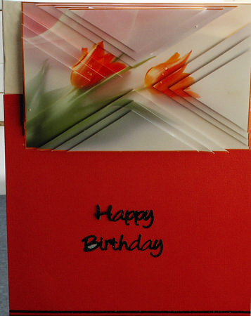 Pretty Tulips Side Step Stacker by Christine Watson