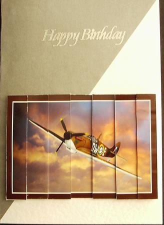 Spitfire in Stormy Skies by Christine Watson