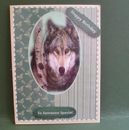 The Beautiful Lone Wolf ( Pyramid ) by Christine Young
