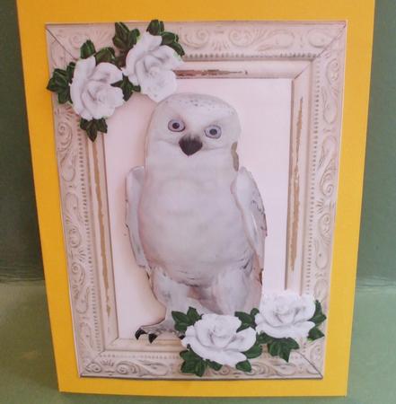 Snowy White Owl with White Roses A4 by Christine Young